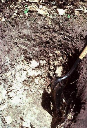 soil profile