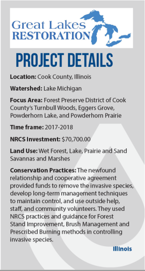 Location: Cook County, Illinois Watershed: Lake Michigan Focus Area: Forest Preserve District of Cook County’s Turnbull Woods, Eggers Grove, Powderhorn Lake, and Powderhorn Prairie Time frame: 2017-2018 NRCS Investment: $70,700.00 Land Use: Wet Forest, Lake, Prairie and Sand Savannas and Marshes Conservation Practices: The newfound relationship and cooperative agreement provided funds to remove the invasive species, develop long-term management techniques to maintain control, and use outside help, staff, an