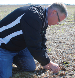 producer in field