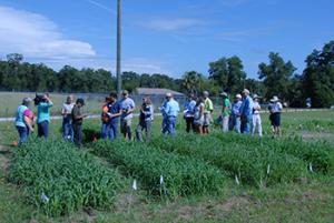 An image of participants gathered around a study plot of different plant species during a PMC presentation