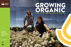 Cover of the Growing Organic brochure