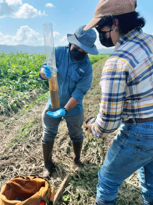 State Soil Scientist Manuel Matos (left) and Resource Soil Scientist Lizandra Nieves (right) collect soil samples at the Yabucoa Agricultural Reserve RCPP area in Puerto Rico on 26 Oct 2021.