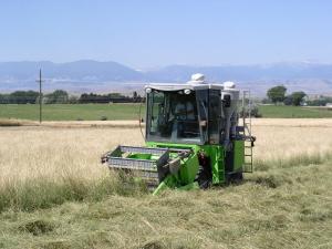 Combine harvesting native grass with mountains in the background