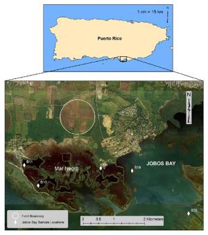 Map of Jobos Bay