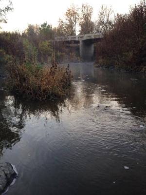 Salt creek