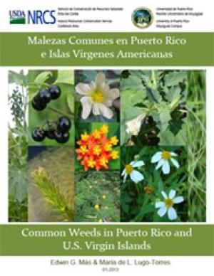 Cover Page of Common Weeds in Puerto Rico and U.S. Virgin Islands