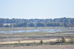 Goose Pond