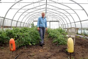 A farmer stands in a high tunnel.