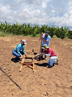 NRCS Caribbean Archaeologist and Conservationists conduct Section 106 Cultural Resources assessment on a farm in Salinas, Puerto Rico, in July 2022.