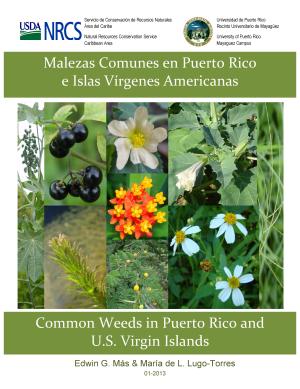 Common Weeds in Puerto Rico and the U.S. Virgin Islands/ Malezas Comunes en Puerto Rico y las Islas Virgenes Americanas