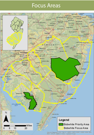 A map of the target area for Northern Bobwhite in New Jersey.