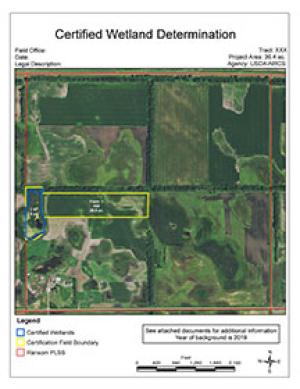 certified wetland determination tech determination aerial photo