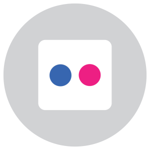 Grey circle around a rounded-corner white square, a medium blue and a bright pink circle side by sided in the middle of the white square