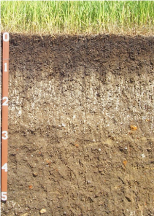 Houdeck Soil Profile