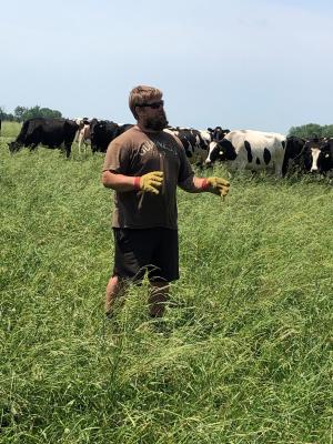 Jimmy Bloome explains his grazing plan while his Holstein cows, known for their milk production, graze in the new pasture. 