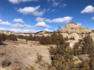 Juniper spread, hills