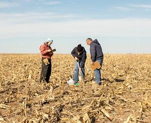 Researchers evaluate surface conditions in a no-till corn field.