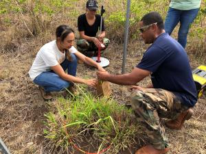 Nanea Babila, NRCS Conservation Planner (left), and Lexis Kalawe, Molokai Conservation District Staff (center), assist John Colon, HIPMC Biological Technician (right), with collecting monthly forage 