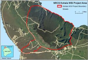 NRCS Kohala WSI Project Area.