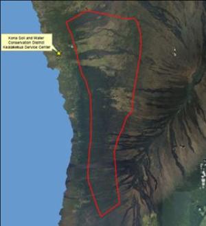 Map of Kona's Upland Forests