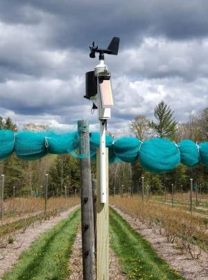 A weather station connected to the NEWA weather network on the edge of a blueberry field in early spring collecting weather data as a storm approaches. (Photo by Keith Brodeur / Bascom Road Blueberry Farm) 