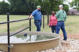 With technical advice and financial assistance through EQIP, Elizabeth was able to divide her property into four pastures with a water trough in each pasture to develop a rotational grazing program.