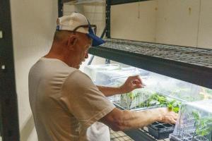 Jeff Garland checks on baby hemp plants in the propagation room at Papa G’s Organic Hemp Farm in Crawford County, IN June 23, 2022.
