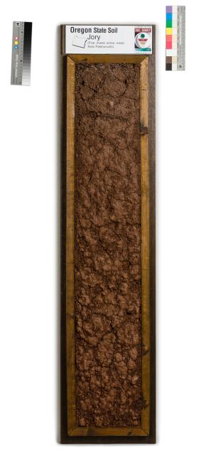 Jory Soil Monolith
