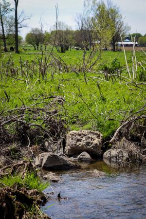 Creek with rocks and a pasture in the background