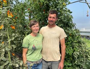 A couple standing in front of tomato plants