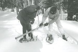 two men in the woods in snow with measuring equipment