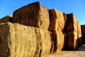 Hay Stacked