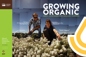 Growing Organic
