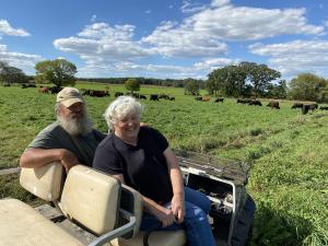A couple sitting in a golf cart overlooking their cattle herd grazing in a pasture.