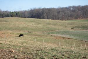 Blue River NWQI In Washington County, Indiana