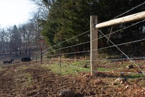 Blue River NWQI_Fencing