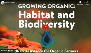 Growing Organic: growing organic habitat and biodiversity thumbnail YouTube video thumbnail