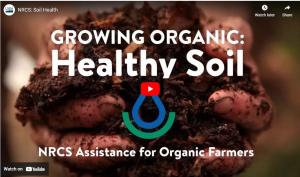 Growing Organic: healthy soil YouTube video thumbnail