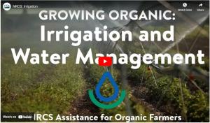 Growing Organic:  Irrigation and Water Management YouTube video thumbnail