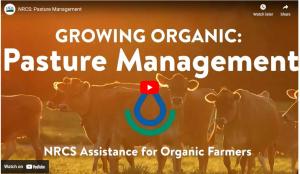Thumbnail of Growing Organic Pasture Management YouTube video