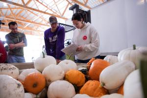 Lund Farm with squash