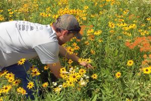 Bryan in field of flowers