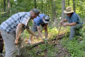 Field Technical Assistance for Forestry for the Birds
