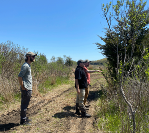Left to right: Ian O'Hara (Save the Bay), Joe Bachand (NRCS) & Ben Gaspar (Save the Bay) view invasive exotic shrubs at Rocky Hill WRE restoration site in Warwick, RI.