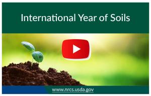 international year of soils thumbnail