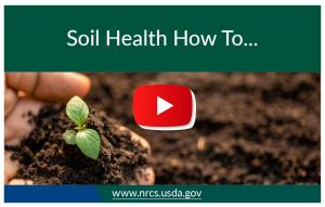 soil health how to thumbnail