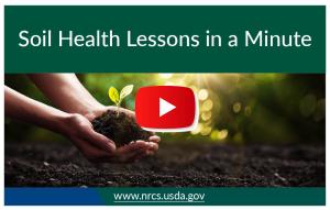 soil health lessons in a minute thumbnail