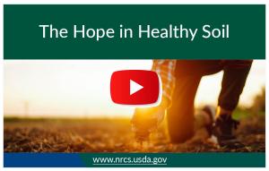 the hope in healthy soil