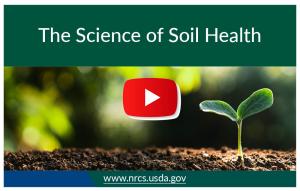 the science of soil health thumbnail