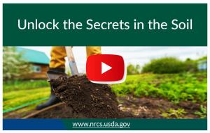 unlock the secrets in the soil thumbnail